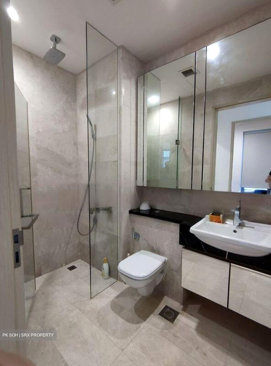 The Boutiq (D9), Apartment #467252691